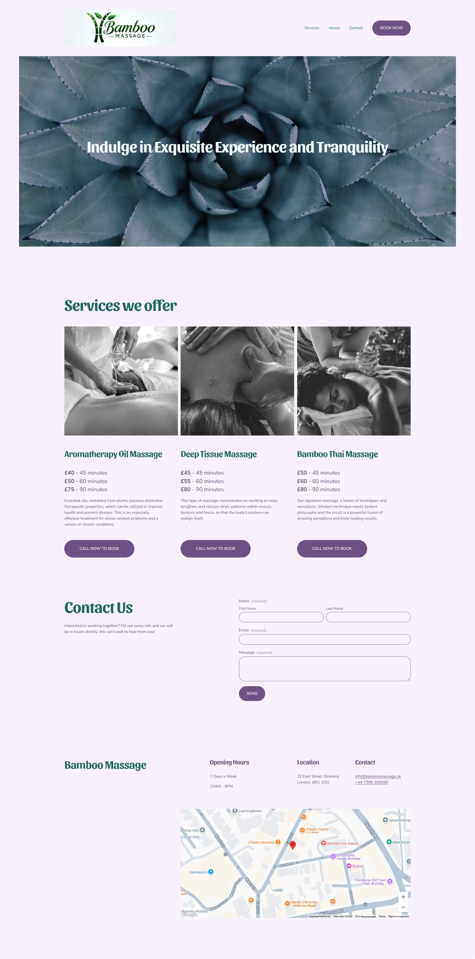 Massage Therapy Screenshot 1
